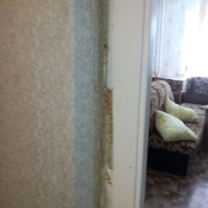 Уничтожение клопов в квартире с гарантией Санкт-Петербург
