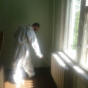 Уничтожить тараканов в квартире в Санкт-Петербурге