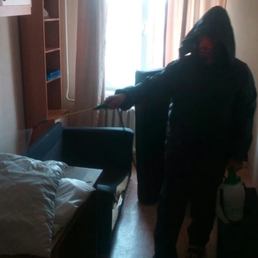 Выведение тараканов в квартире с гарантией в Санкт-Петербурге